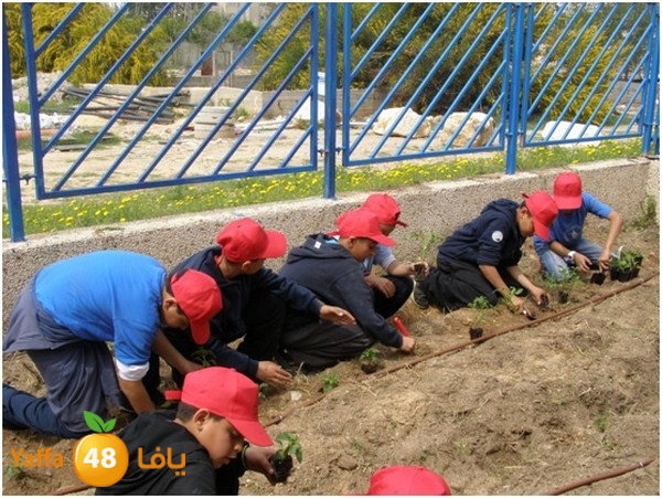 jamhierey lud0403 (10).jpg